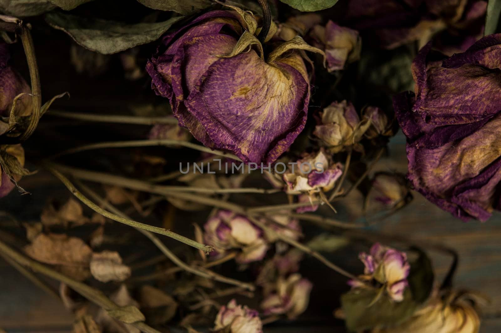 Pile of pink dried roses on old rustic wooden background as border.