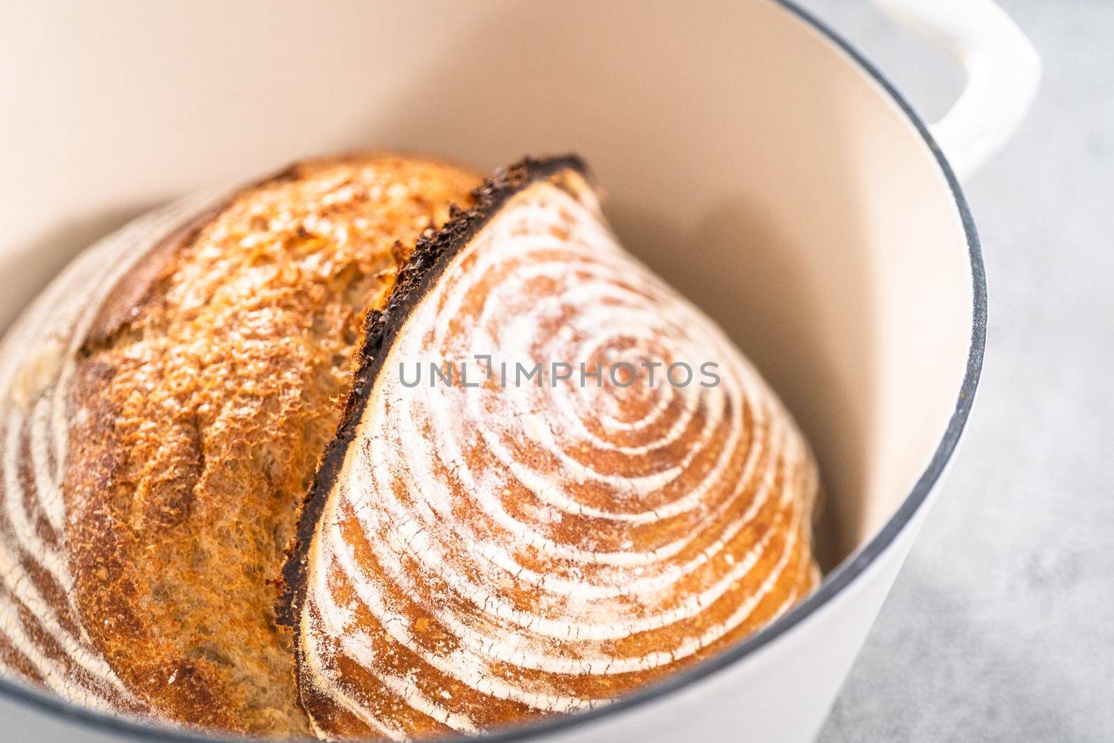 Freshly baked loaf of a wheat sourdough bread with marks from bread proofing basket in enameled cast iron dutch oven.