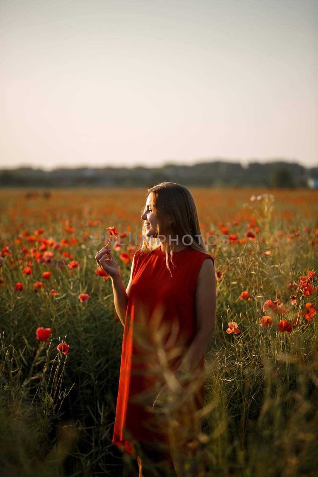 A woman of European appearance with long blonde hair and a red summer dress, she stands in a blooming poppy field