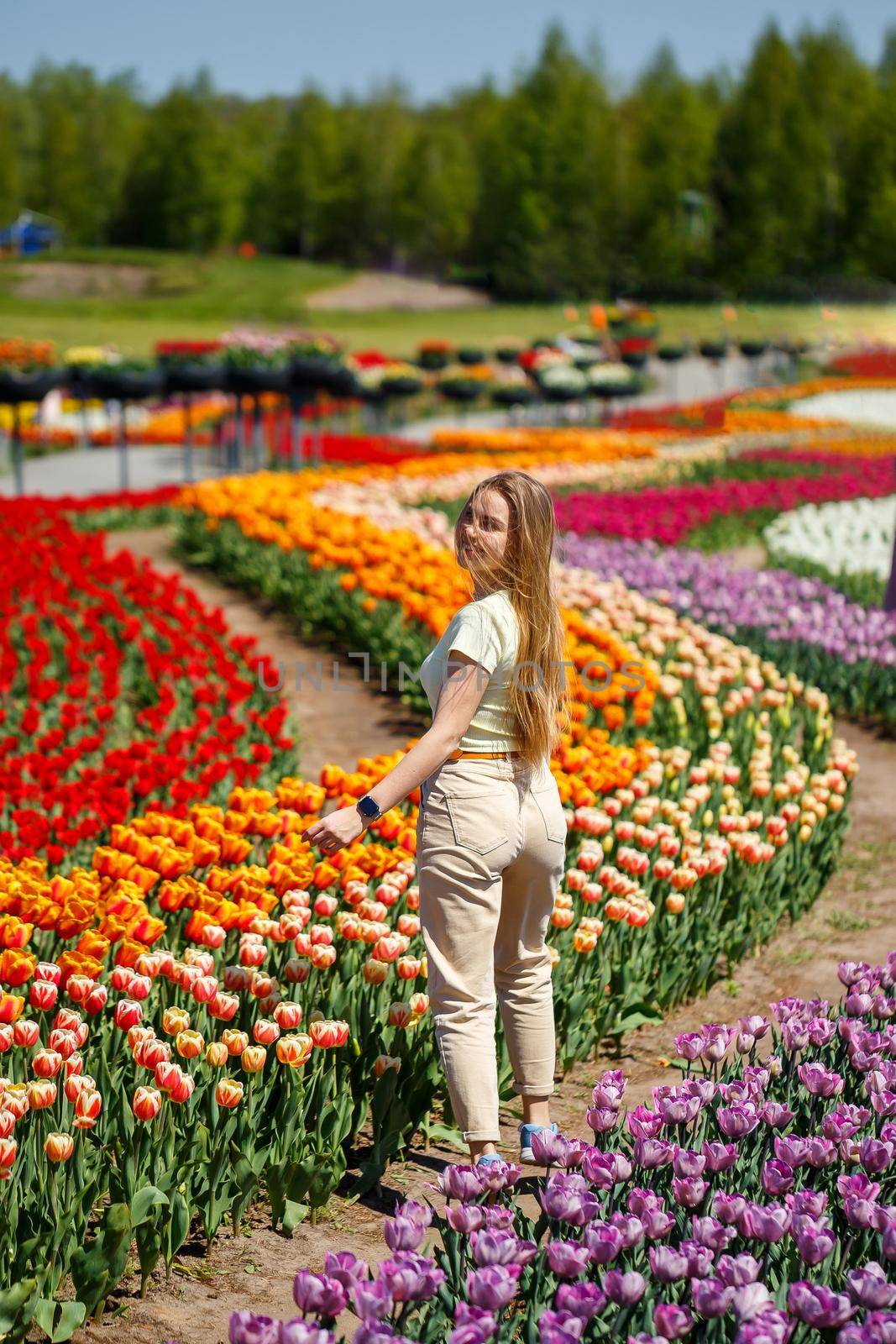 A girl in a white dress runs among the tulips. Field with yellow and red tulips.