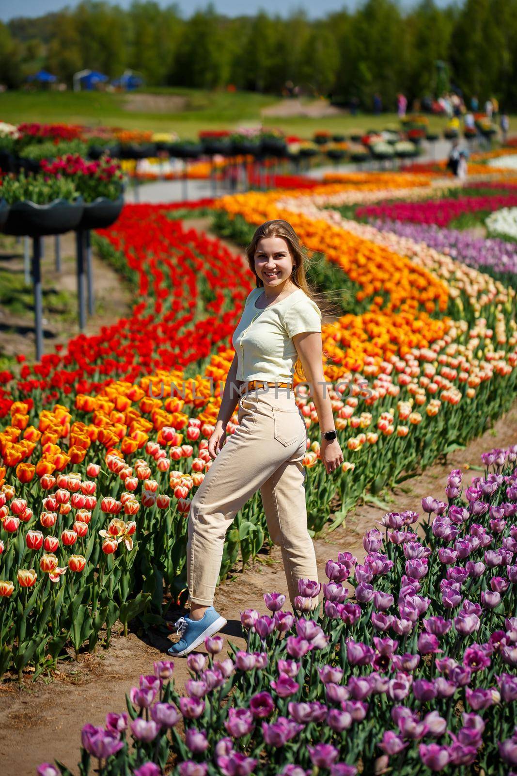 A girl in a white dress runs among the tulips. Field with yellow and red tulips.