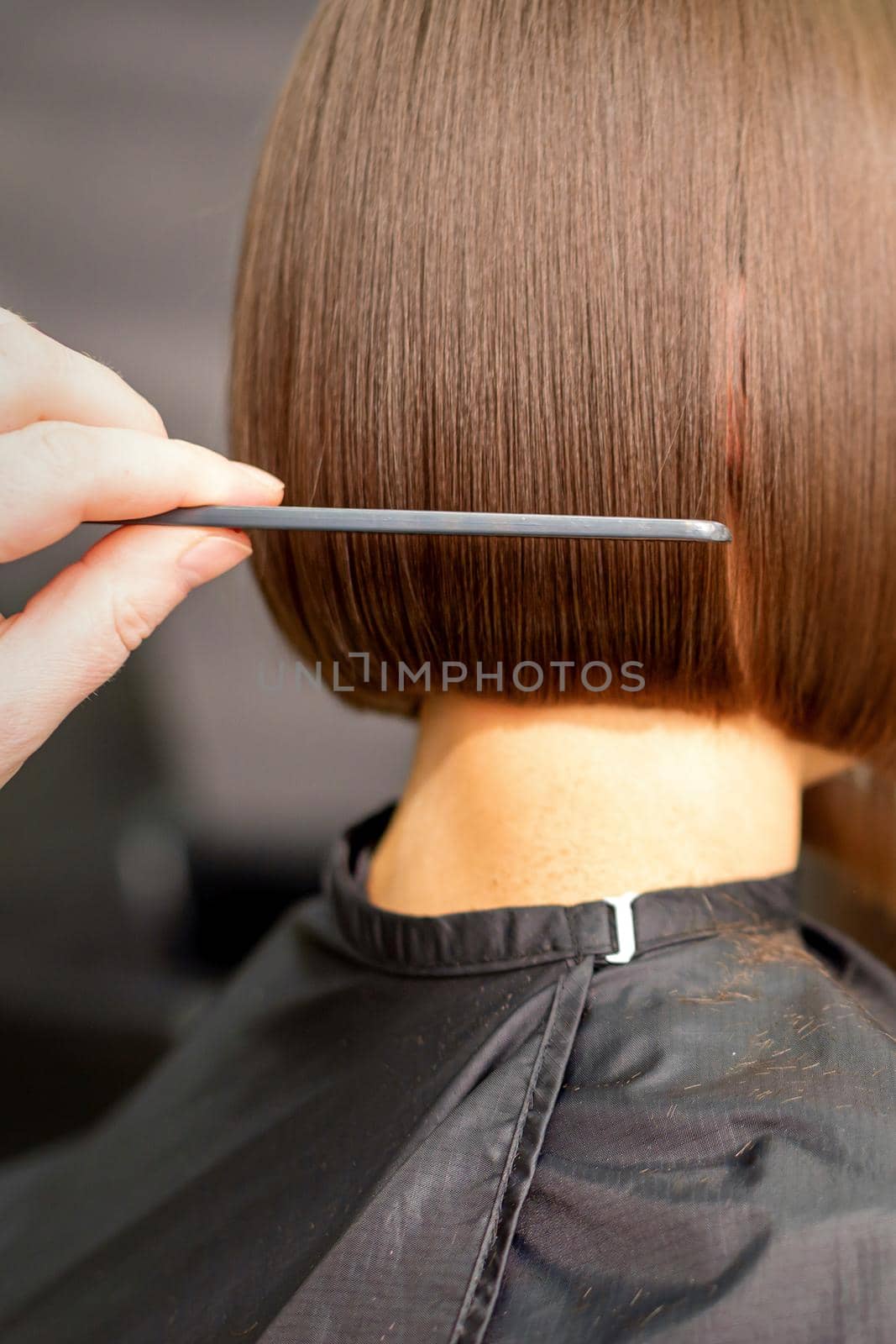 A hairdresser is combing the short hair of the brunette female client in the hairdresser salon, back view