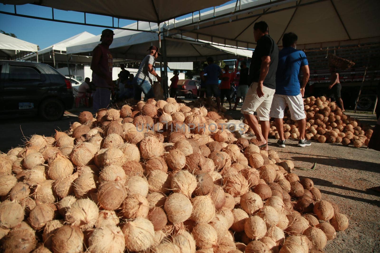conde, bahia, brazil - october 9, 2021: Dry coconut trade at a fair in the city of Conde, north coast of Bahia.