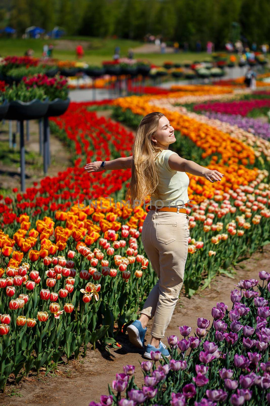 A girl in a white dress runs among the tulips. Field with yellow and red tulips.