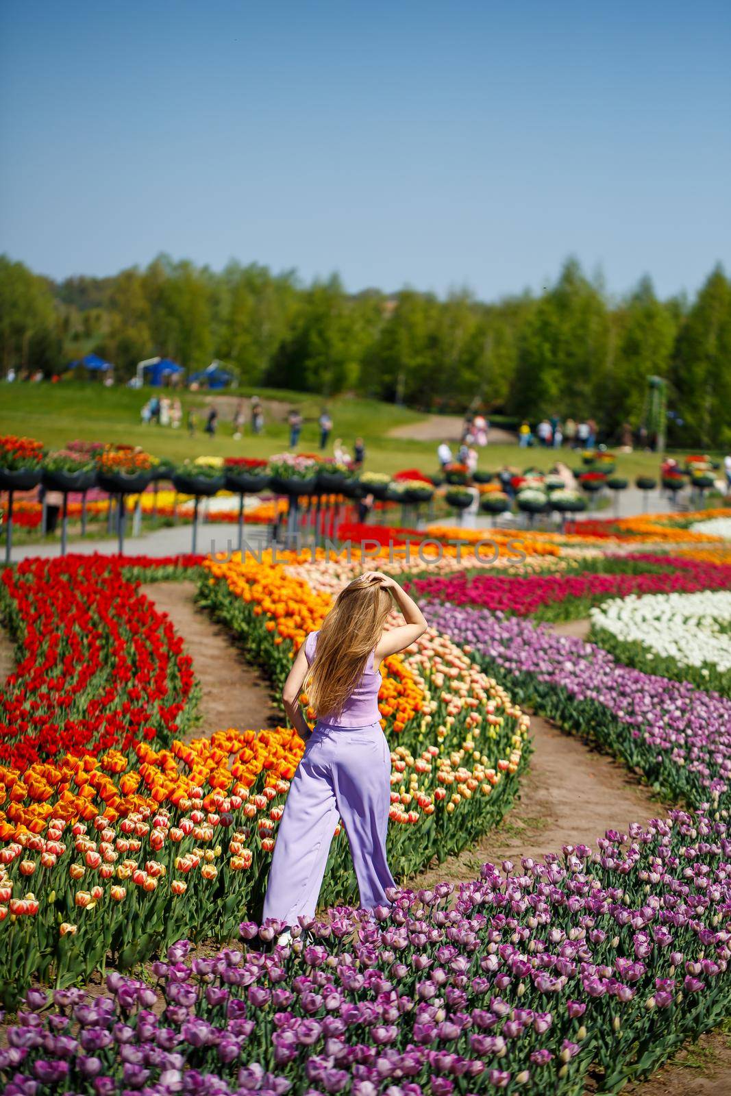 A young woman in a pink suit stands in a blooming field of tulips. Spring time