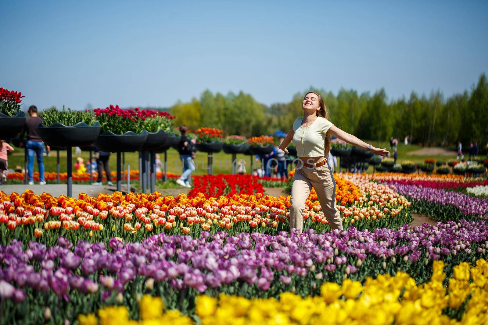 A girl in a white dress runs among the tulips. Field with yellow and red tulips.