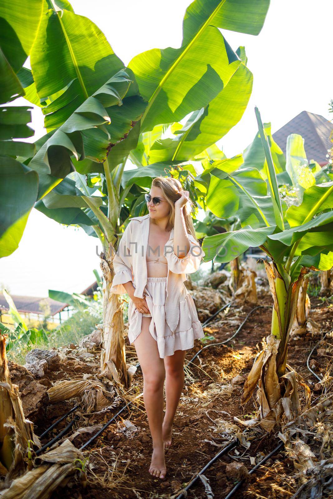 Woman near a large green leaf of a banana tree in nature in the park. Tropical plants and attractive girl walking by Dmitrytph