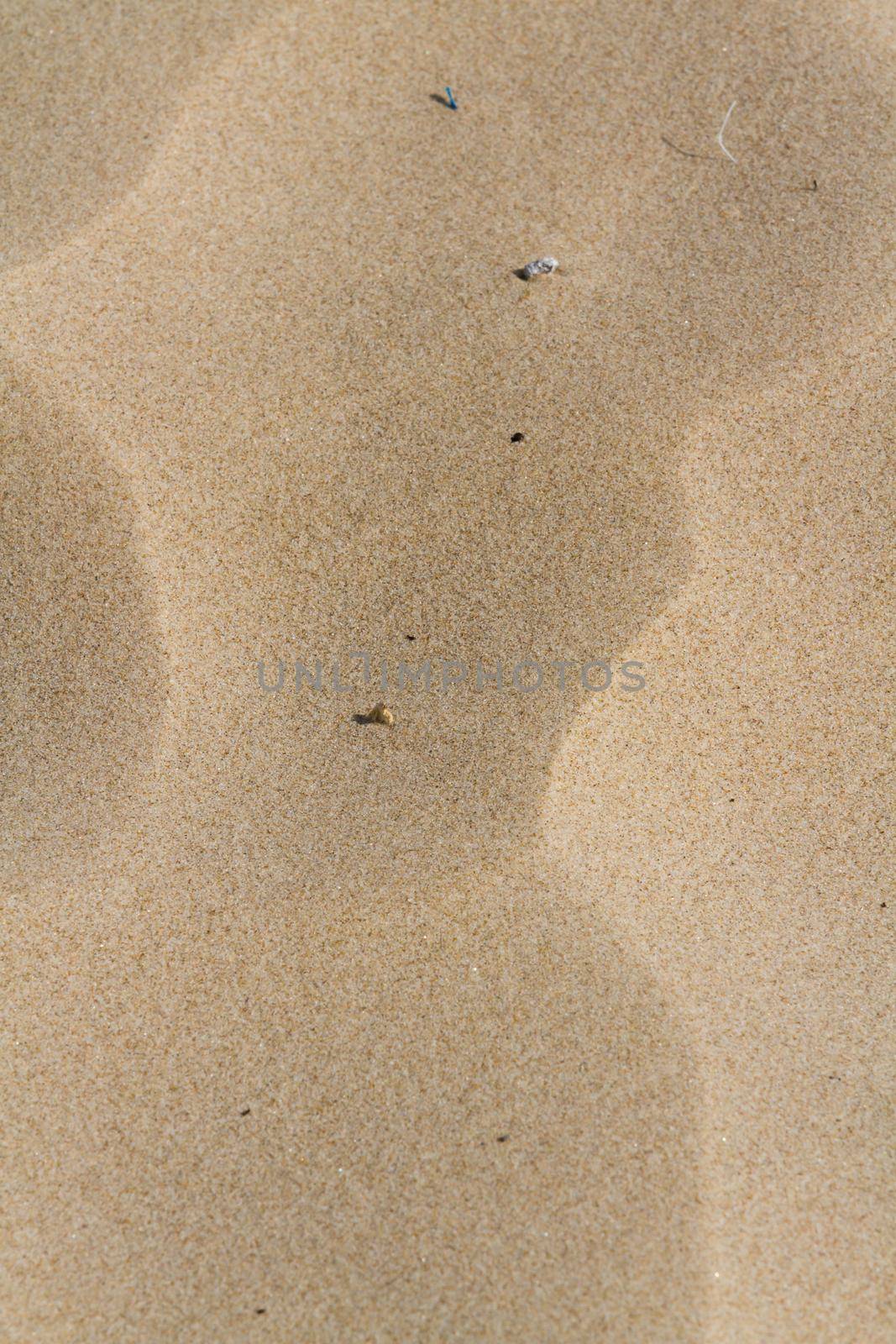 Patterns in the sand on South Padre Island, TX.