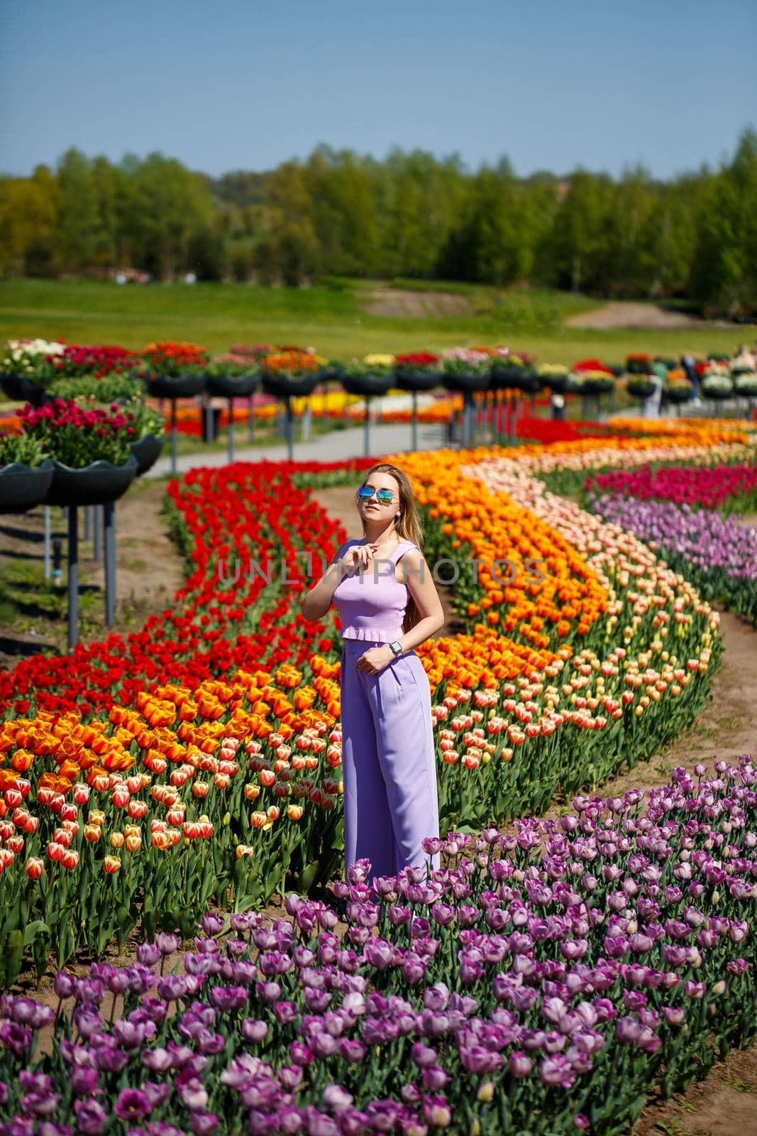 A young woman in a pink suit stands in a blooming field of tulips. Spring time