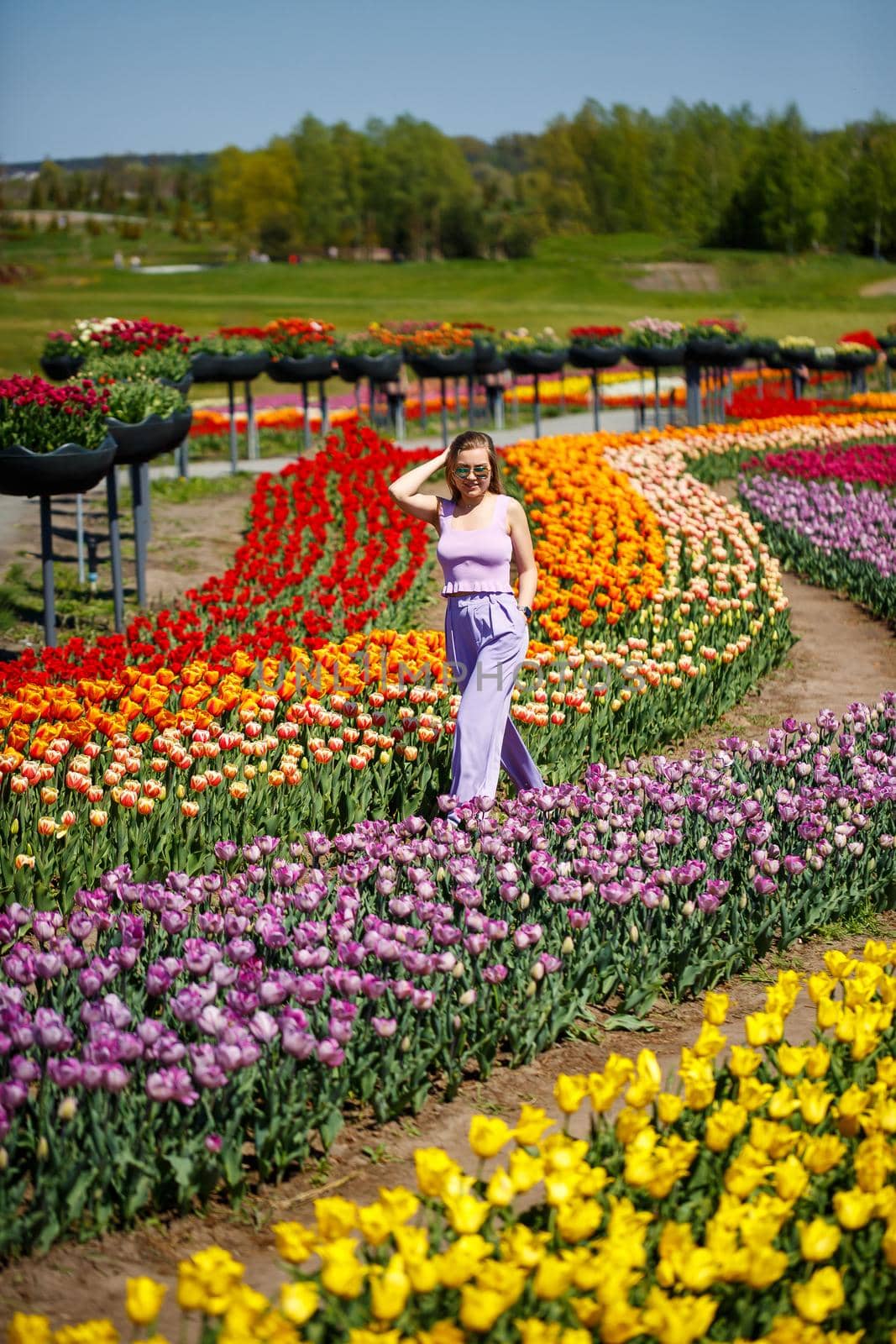 A young woman in a pink suit stands in a blooming field of tulips. Spring time by Dmitrytph