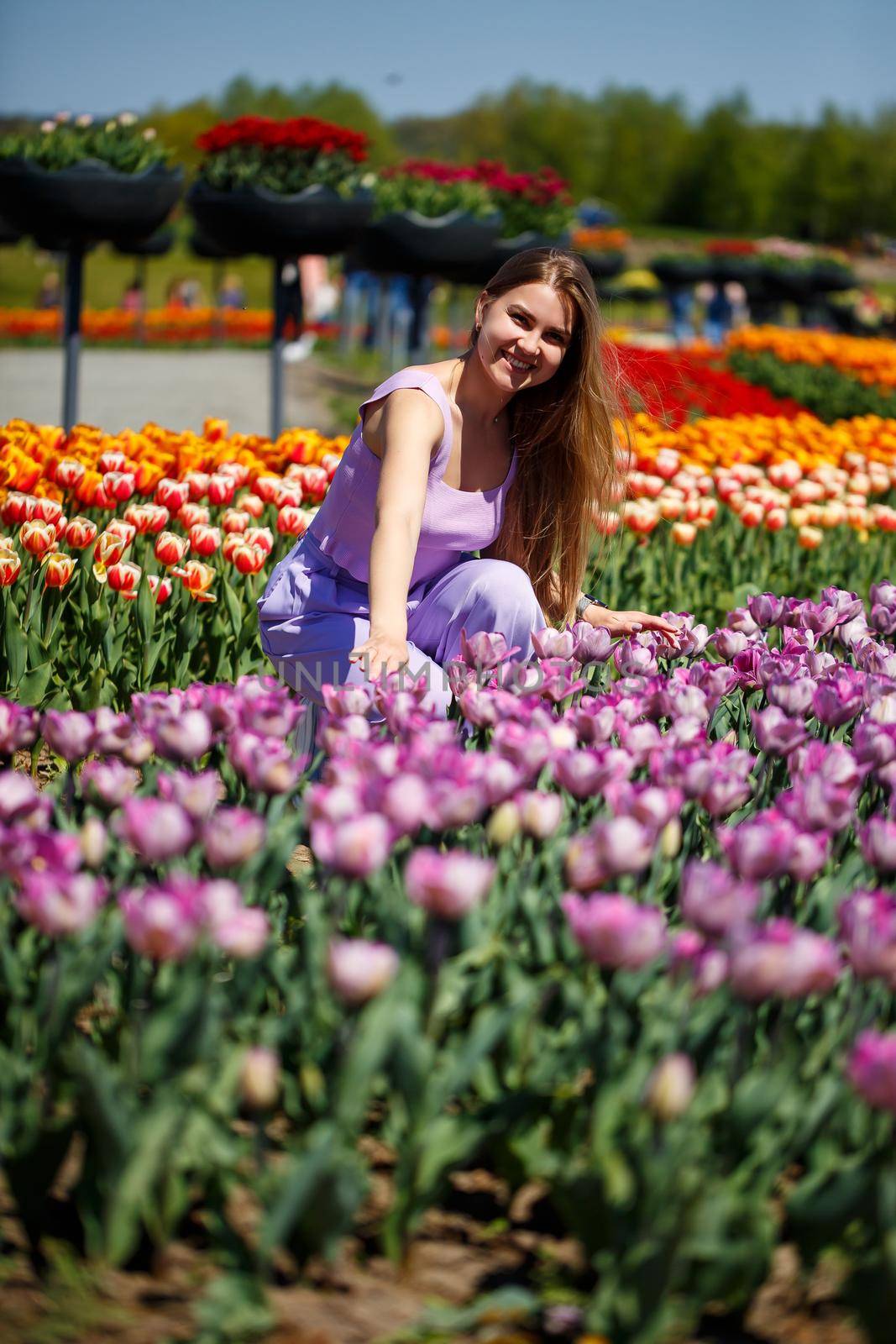 A young woman in a pink suit stands in a blooming field of tulips. Spring time by Dmitrytph