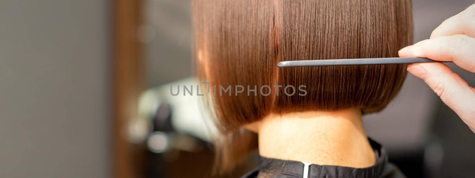 A hairdresser is combing the short hair of the brunette female client in the hairdresser salon, back view