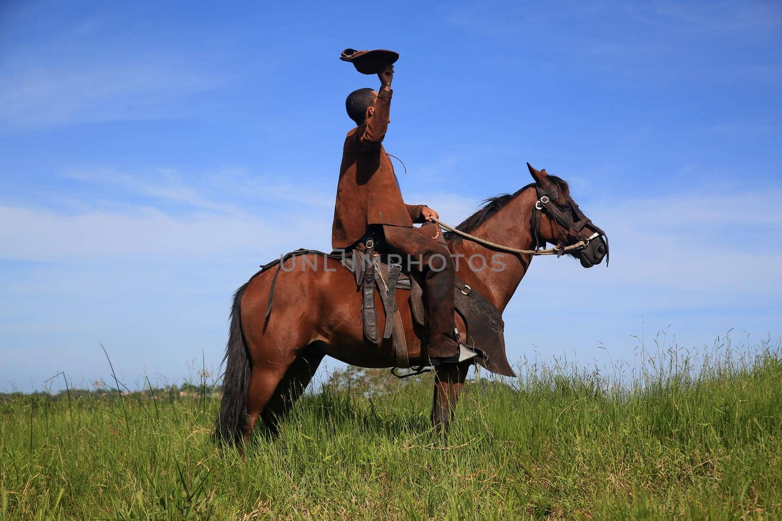conde, bahia, brasil - january 8, 2022: Cowboy wearing traditional leather clothes with his horse on a farm in the city of Conde.