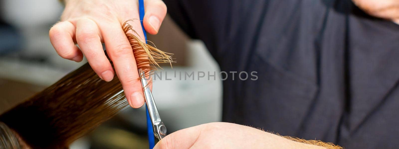 Hands of hairdresser hold hair strand between his fingers making haircut of long hair of the young woman with comb and scissors in hairdresser salon, close up. by okskukuruza