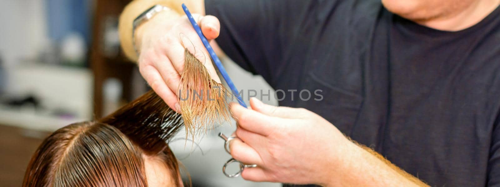 Hands of hairdresser hold hair strand between his fingers making haircut of long hair of the young woman with comb and scissors in hairdresser salon, close up. by okskukuruza