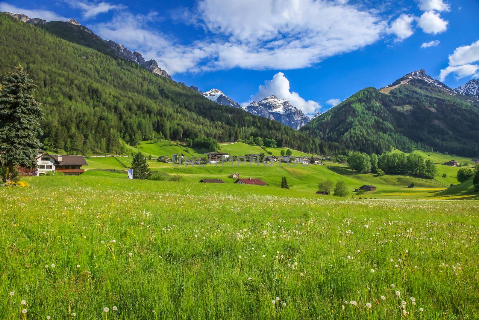 Alpine meadows in Stubai Valley and village, North Tyrol near Innsbruck, Austria