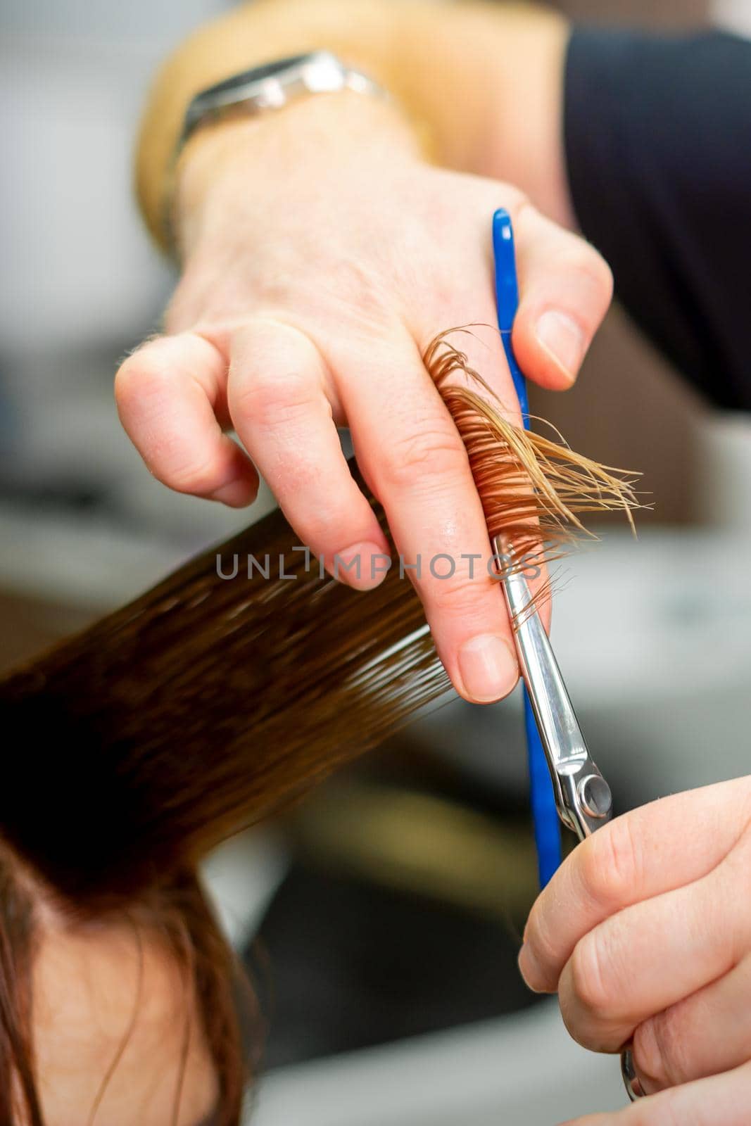 Hands of hairdresser hold hair strand between his fingers making haircut of long hair of the young woman with comb and scissors in hairdresser salon, close up. by okskukuruza