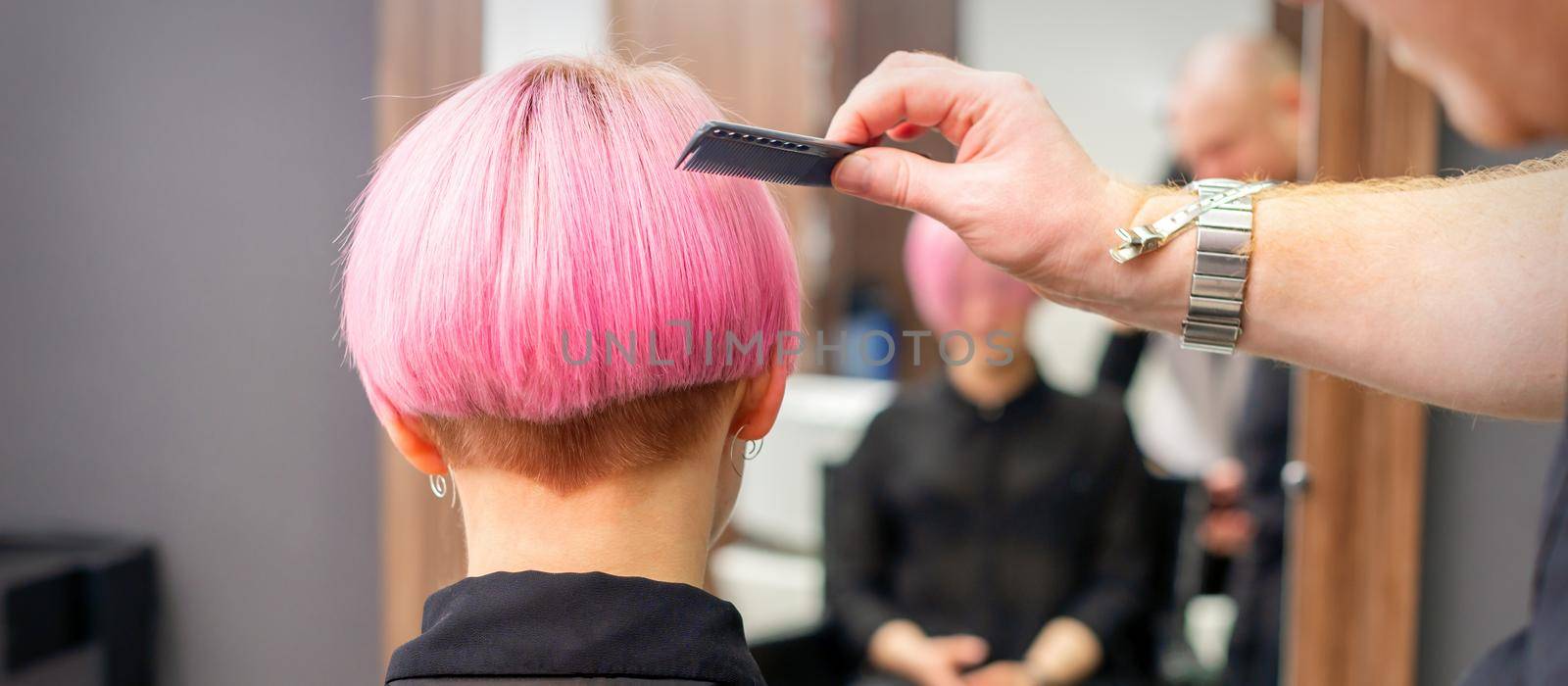 A hairdresser is combing the dyed pink short hair of the female client in hairdresser salon, back view