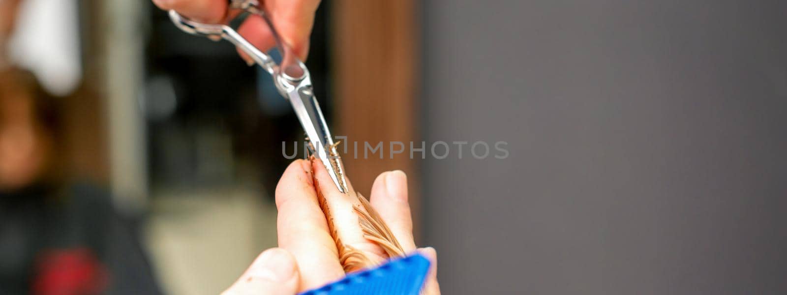 Haircut of red hair tips with comb and scissors by hands of a male hairdresser in a hair salon, close up