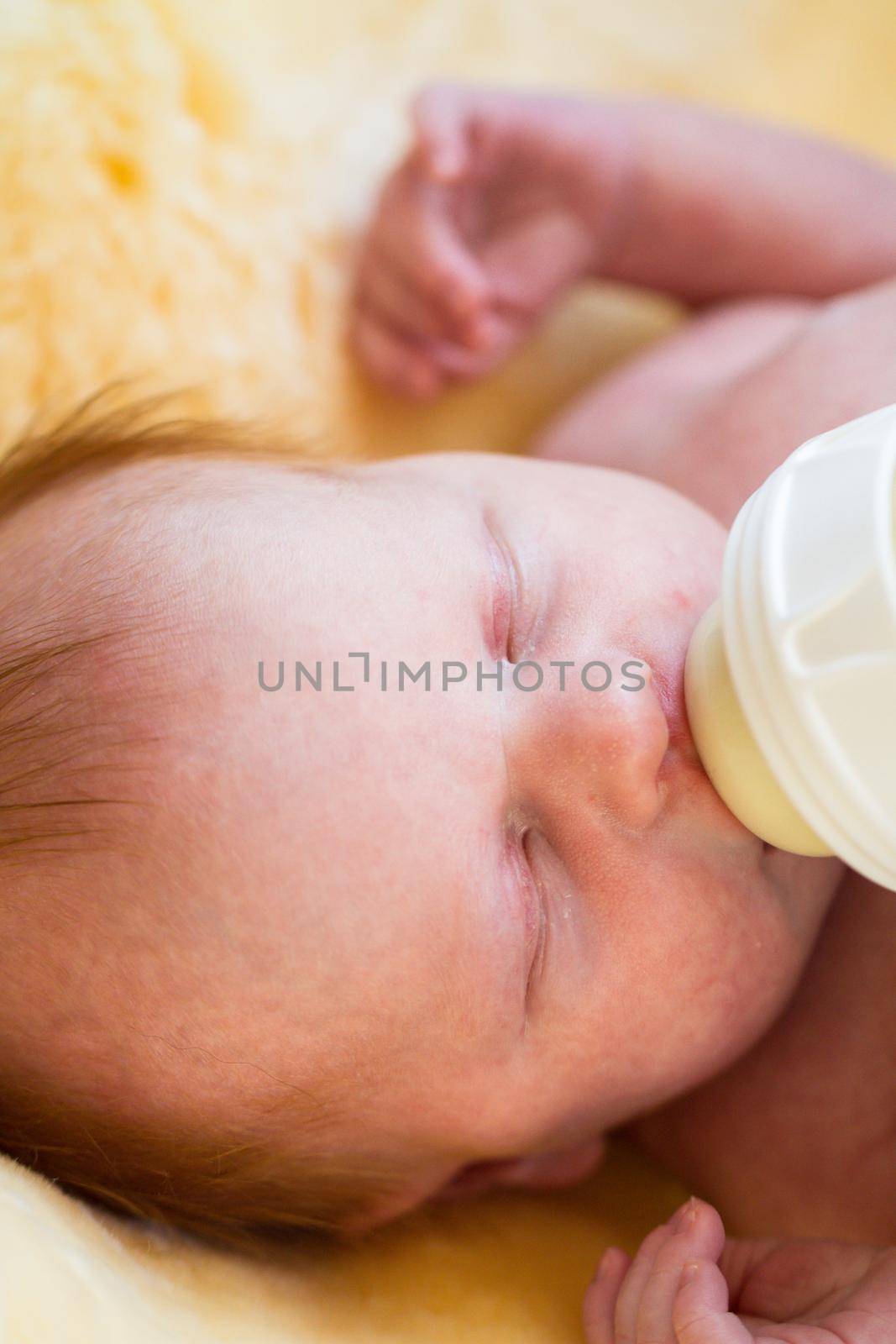 Newborn baby girl at feeding time.