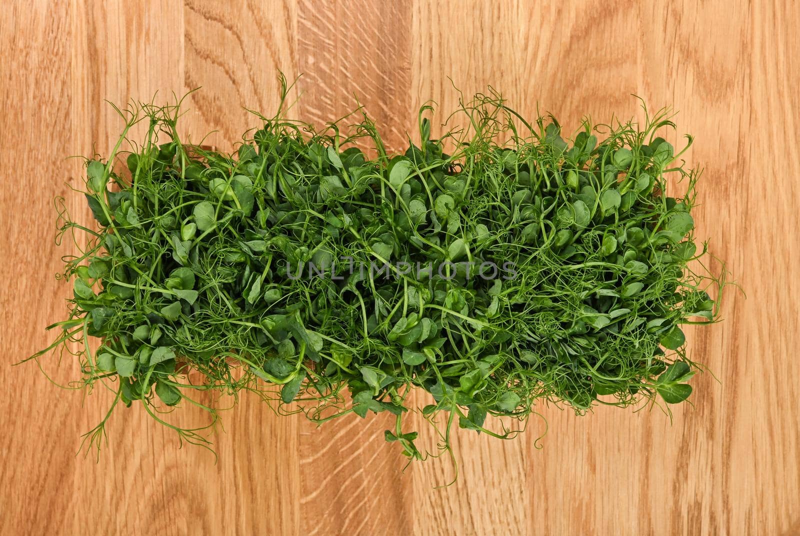 Green peas microgreen on wooden cutting board by BreakingTheWalls