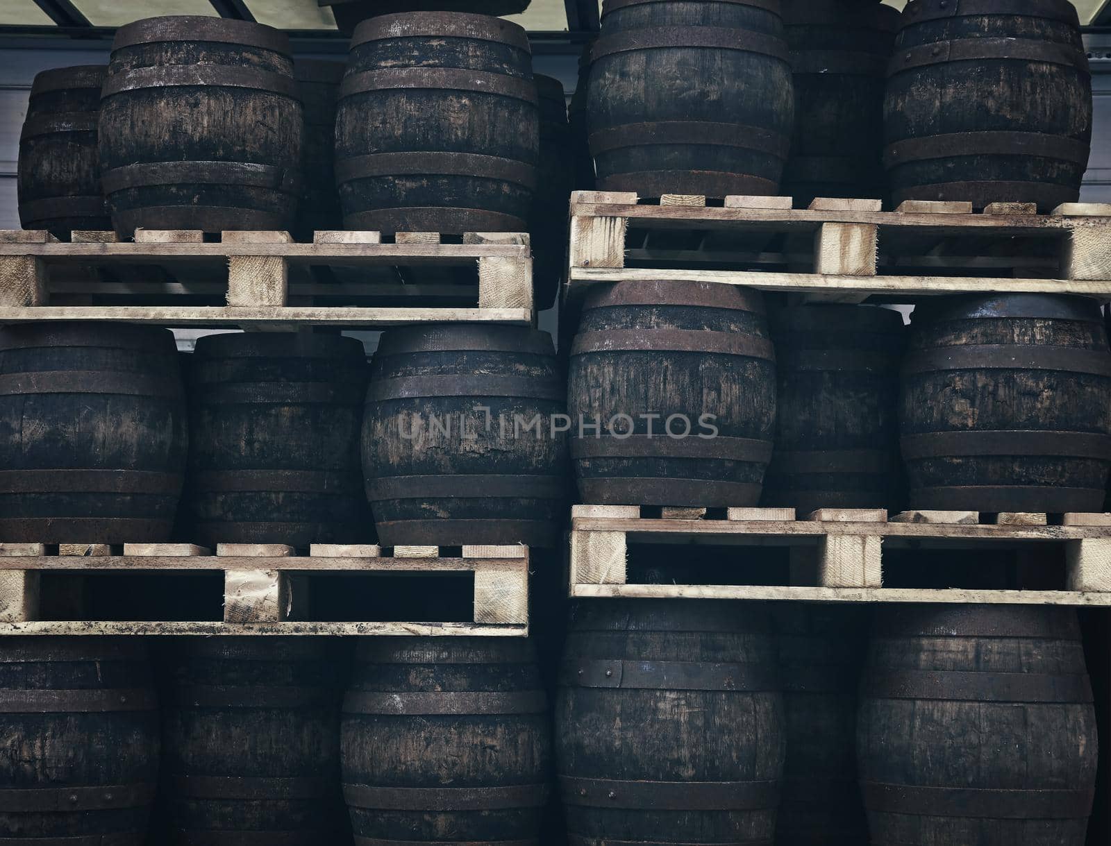 Rows of pallets with staked old grunge vintage dark oak wood barrels of craft beer at warehouse of brewery