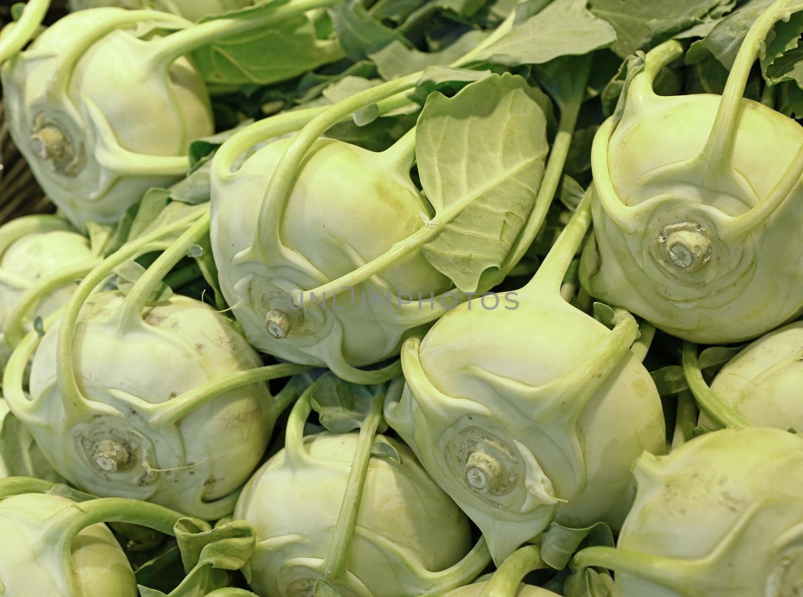 Close up many fresh green kohlrabi cabbages (German turnip) at retail display of farmer market, high angle view