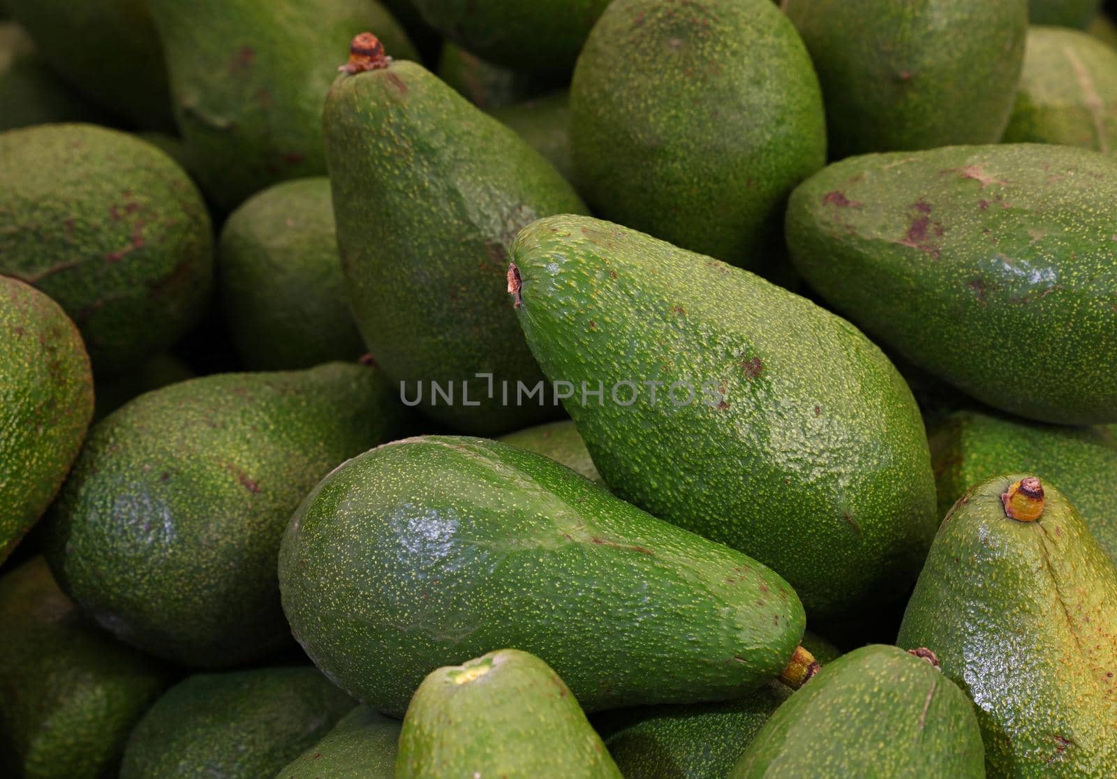 Close up many fresh green avocado at retail display of farmer market, high angle view