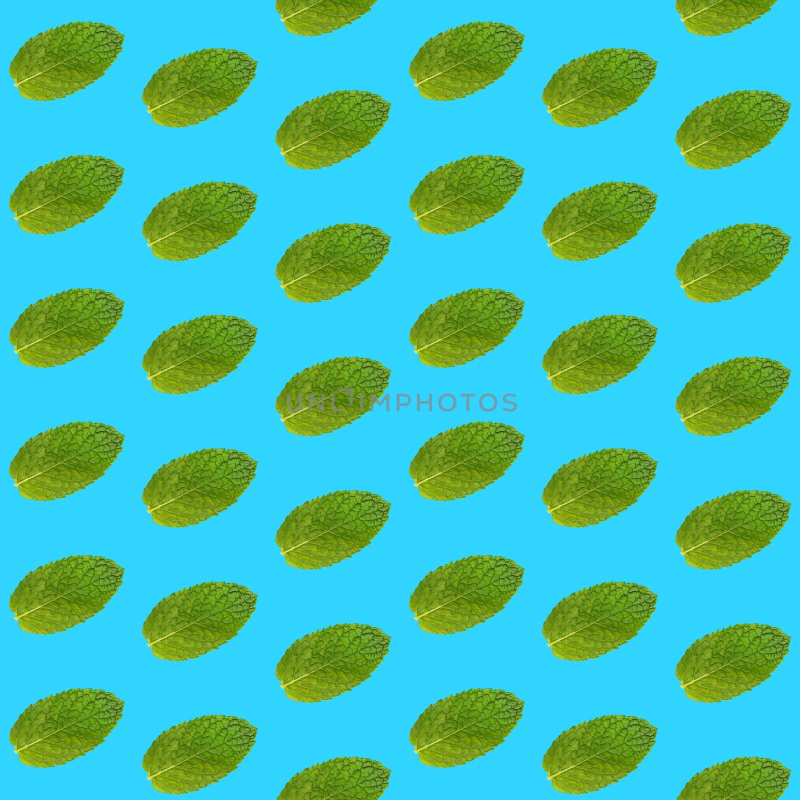 Seamless pattern of fresh green mint leaves on vivid blue background