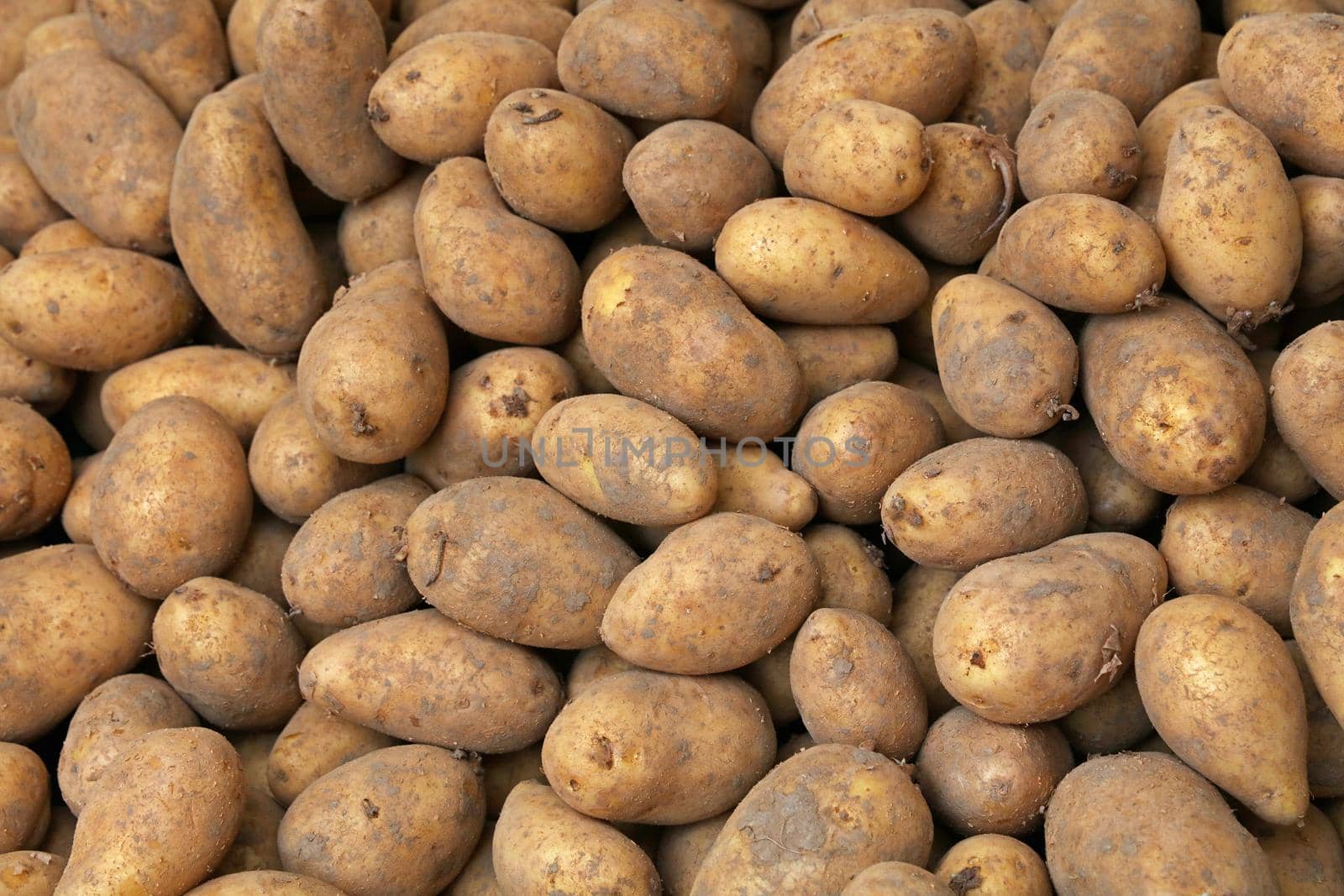 Close up heap of new potato at retail display by BreakingTheWalls