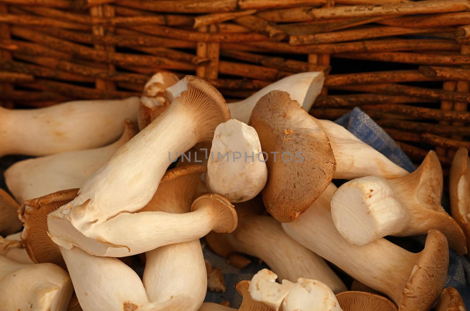 Close up king oyster mushrooms (Pleurotus eryngii, also known as brown trumpet or French horn mushrooms) in wicker wooden basket at retail display, high angle view