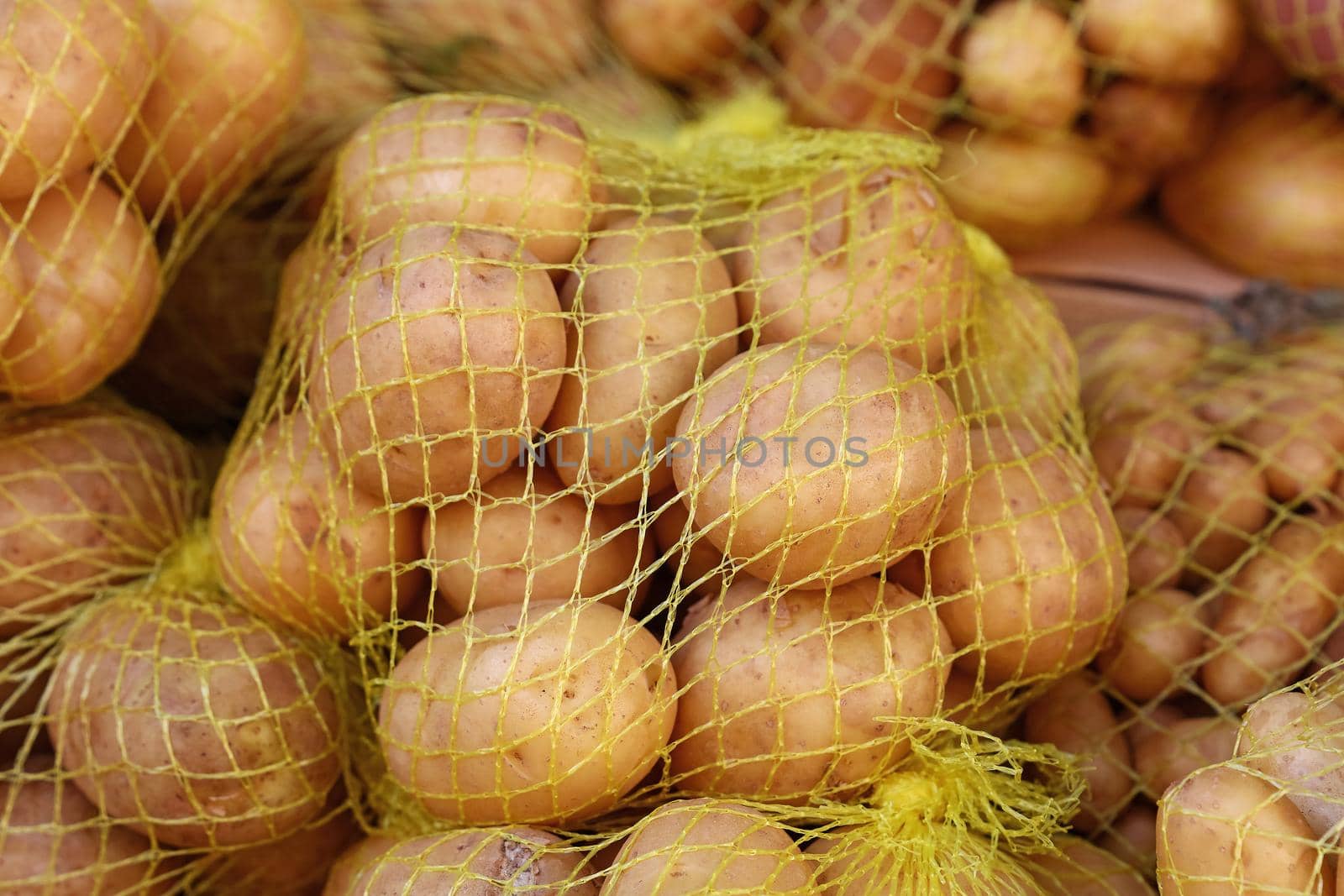 Close up heap of many fresh washed new farm potato in net sack bags at retail display of farmer market, high angle view