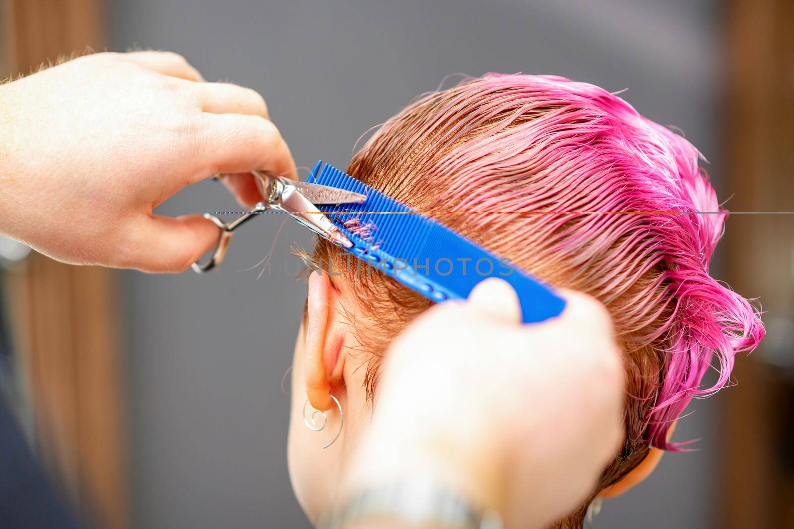 Professional hairstylist is cutting short pink hair with scissors in hair salon close up