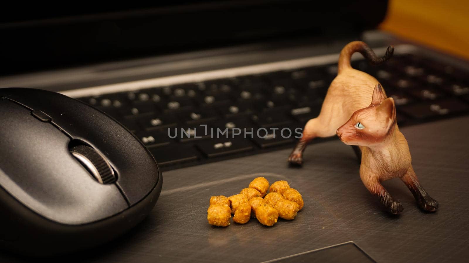 Online cat food illustration with miniature objects concept shot by tasci