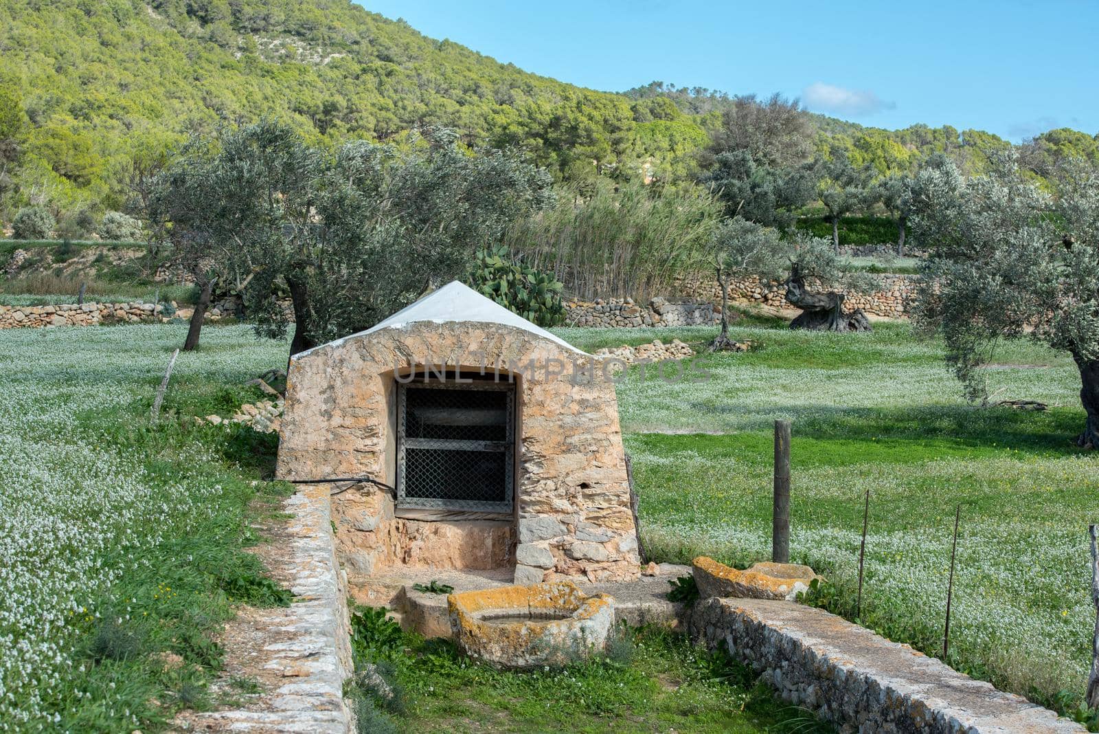 Rural fields of Santa Anges de la Corona, Ibiza, Spain. by martinscphoto