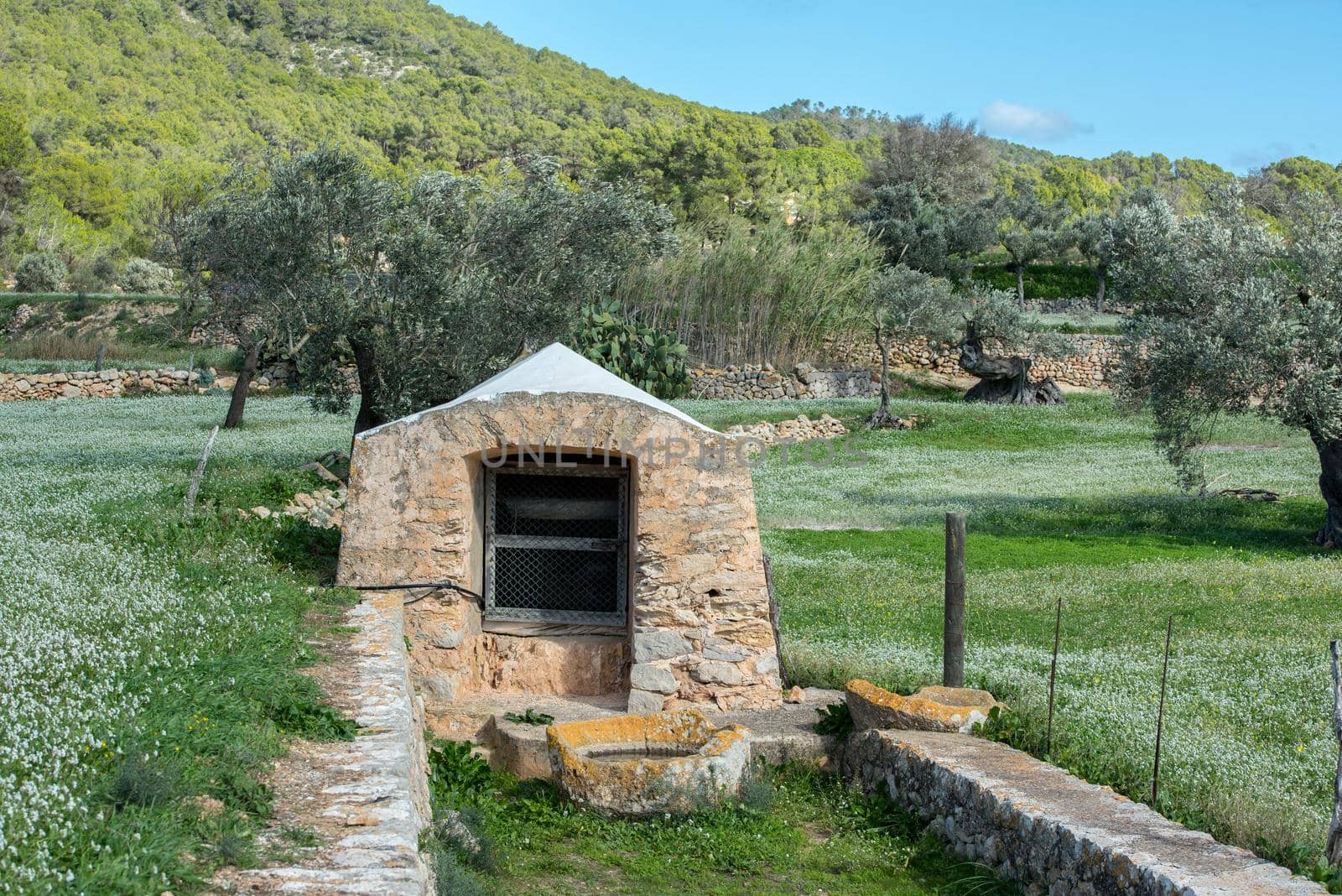 Rural fields of Santa Anges de la Corona, Ibiza, Spain.