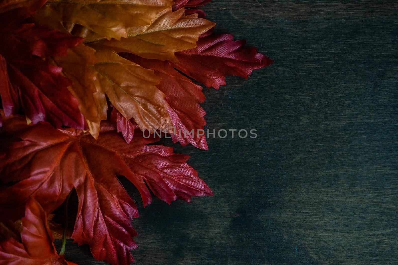 Autumnal flat lay with leaves and pumpkins on wooden background