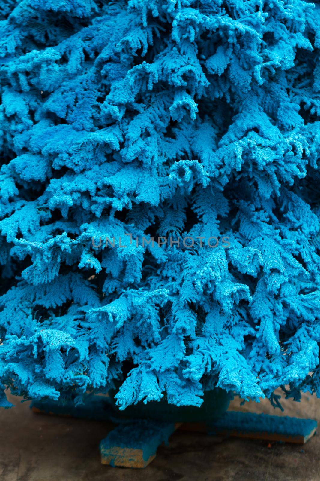Flocked Christmas Tree with multi colors.