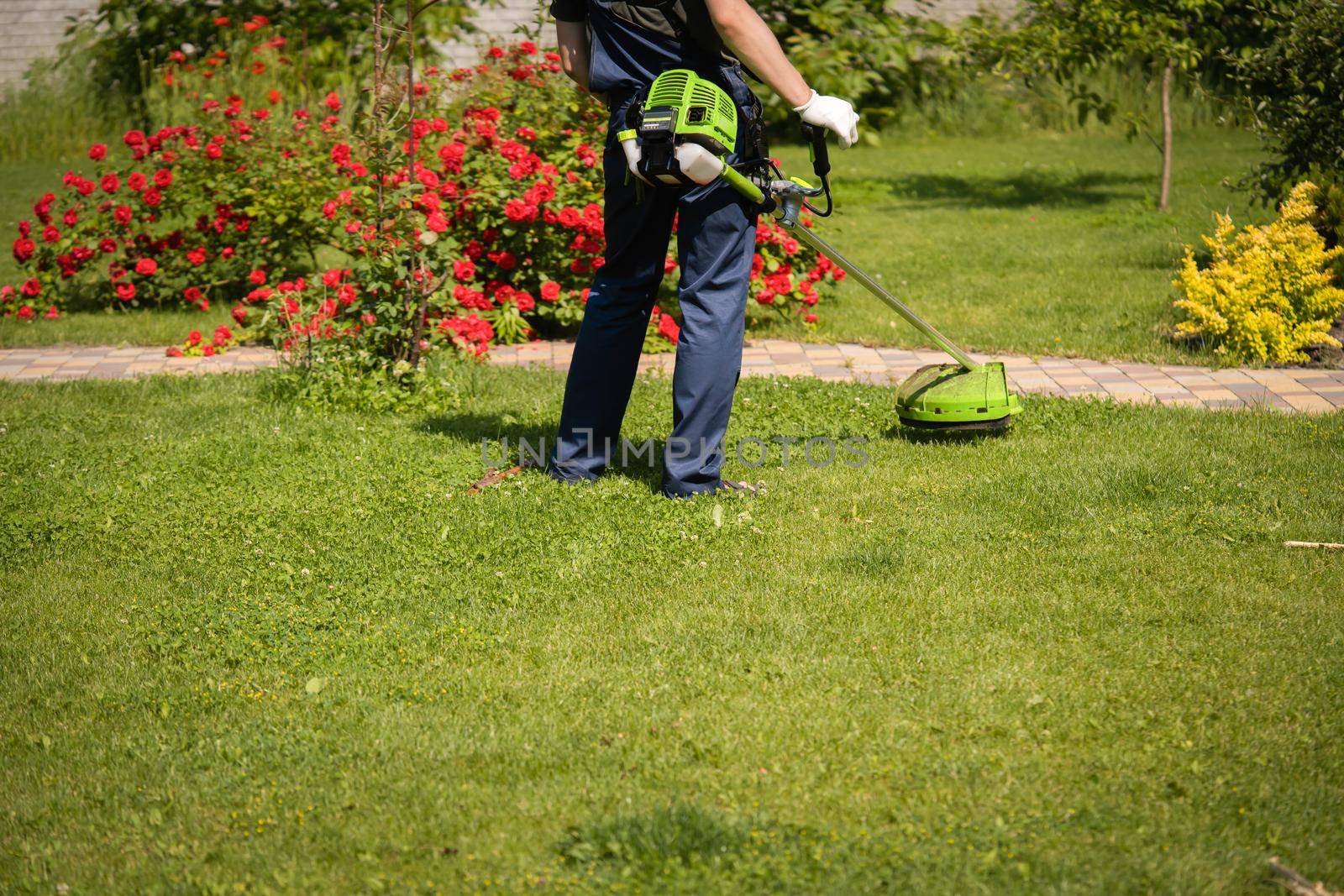 A young man is mowing a lawn with a lawn mower in his beautiful green floral summer garden. A professional gardener is cutting the grass in gloves.