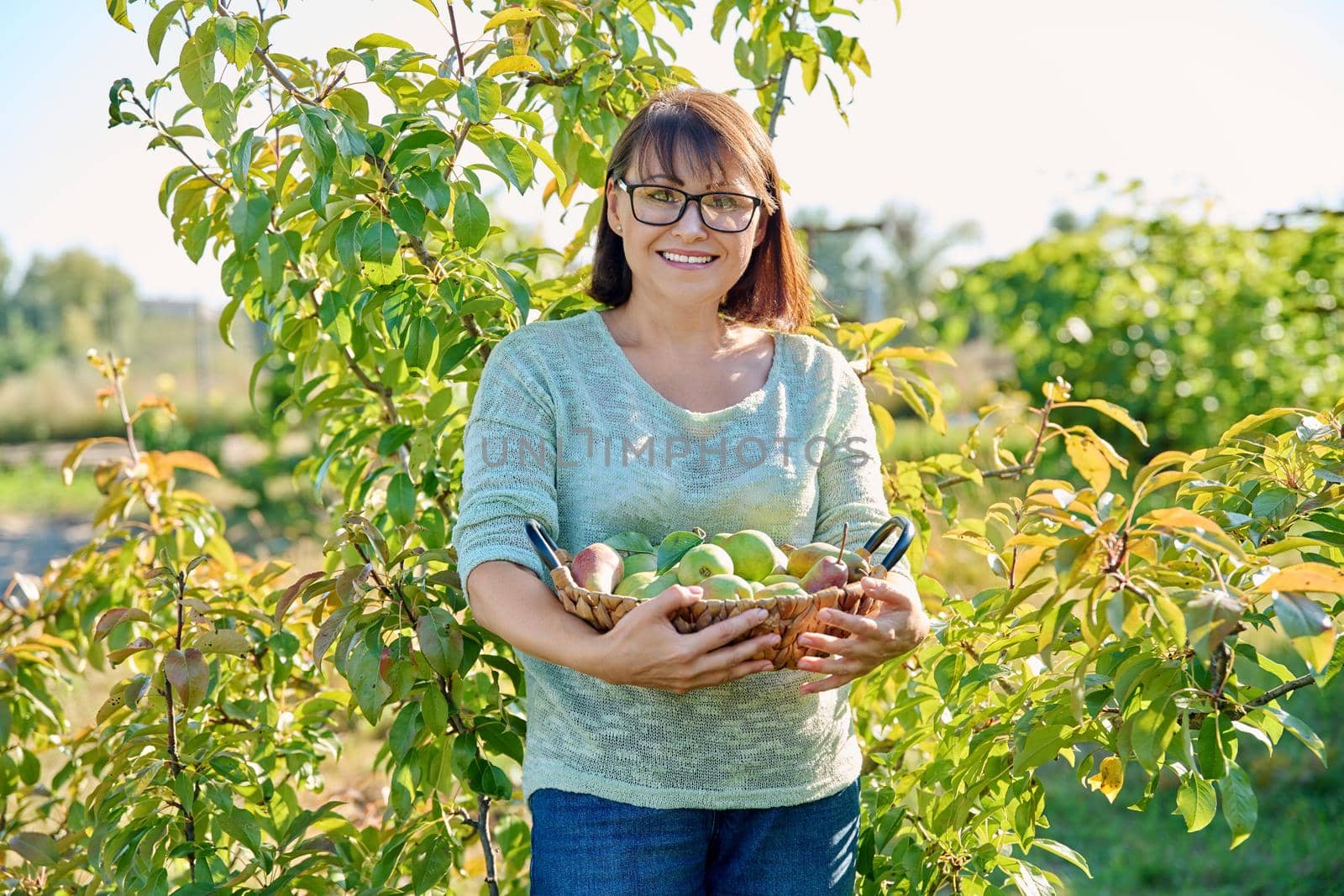 Woman harvesting pears in garden on sunny autumn day by VH-studio