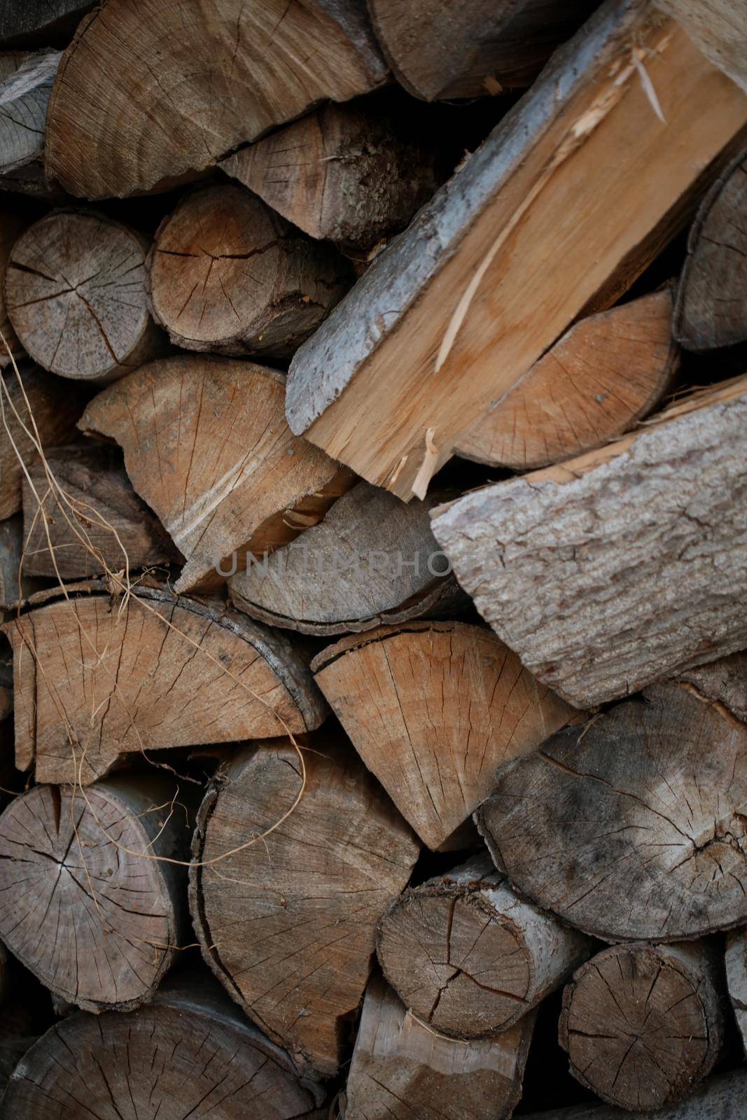 Cutted wood ready for fire close up background modern high quality prints