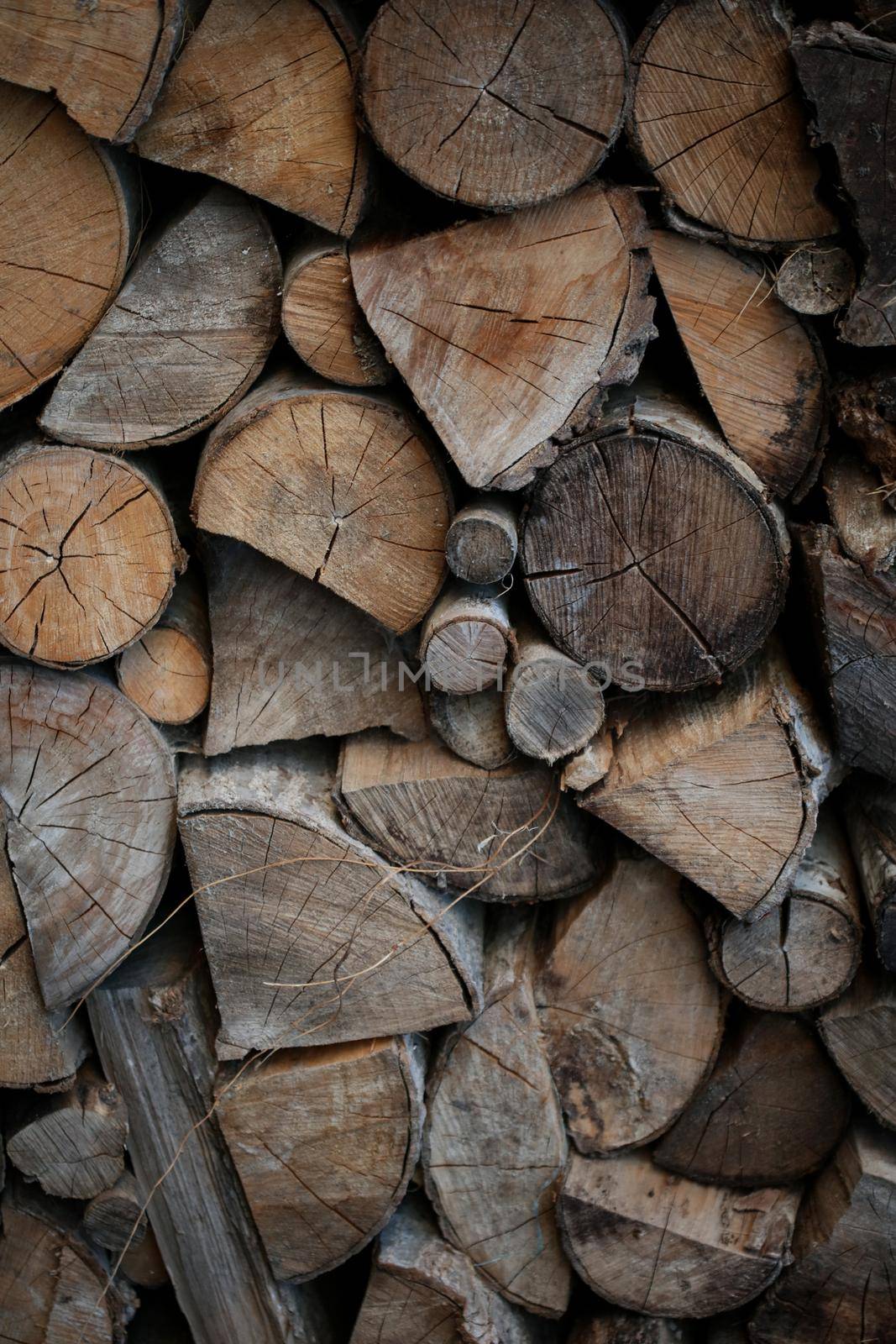 Cutted wood ready for fire close up background modern high quality prints