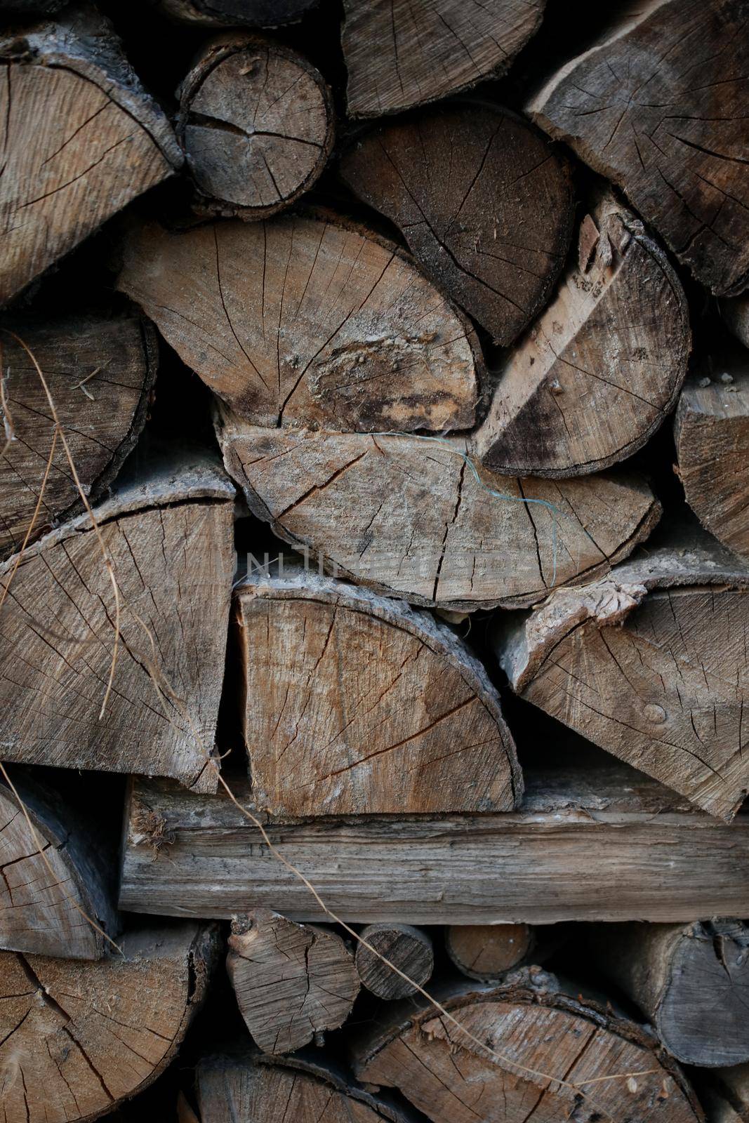 Cutted wood ready for fire close up background modern high quality prints