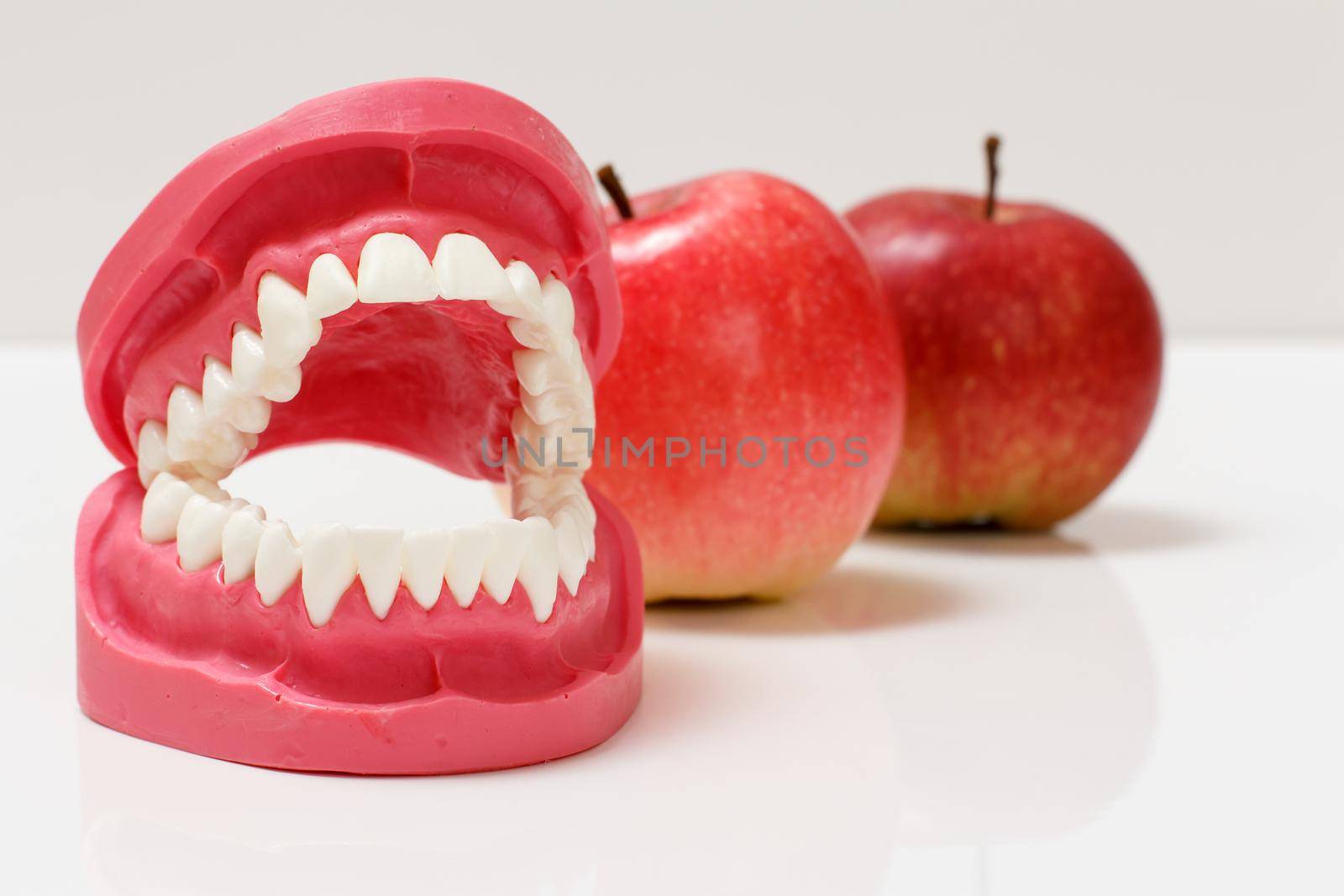 Layout of the human jaw with red apples on the white background.