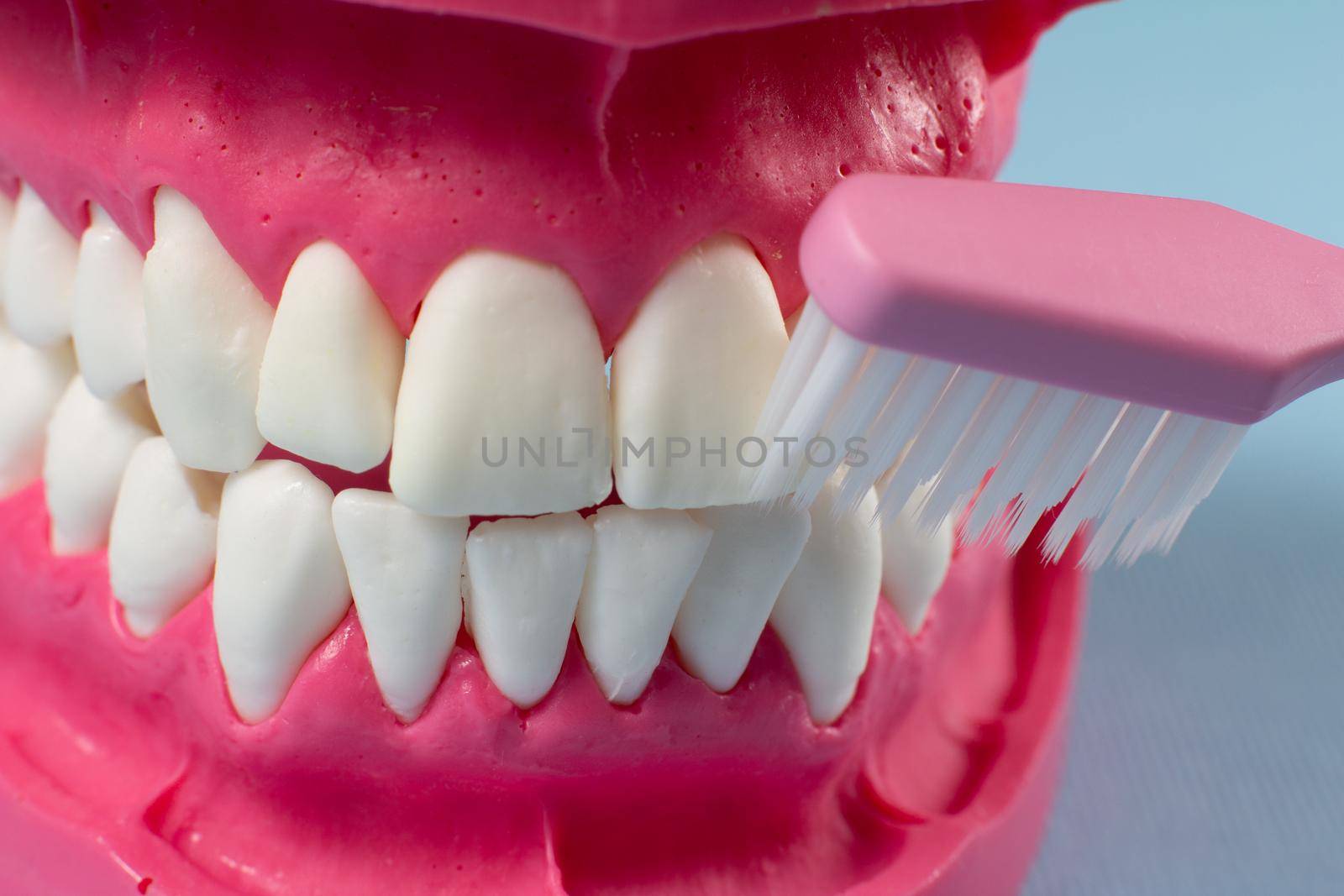 Close-up view of a human jaw layout and a toothbrush on the blue background. Oral hygiene concept.