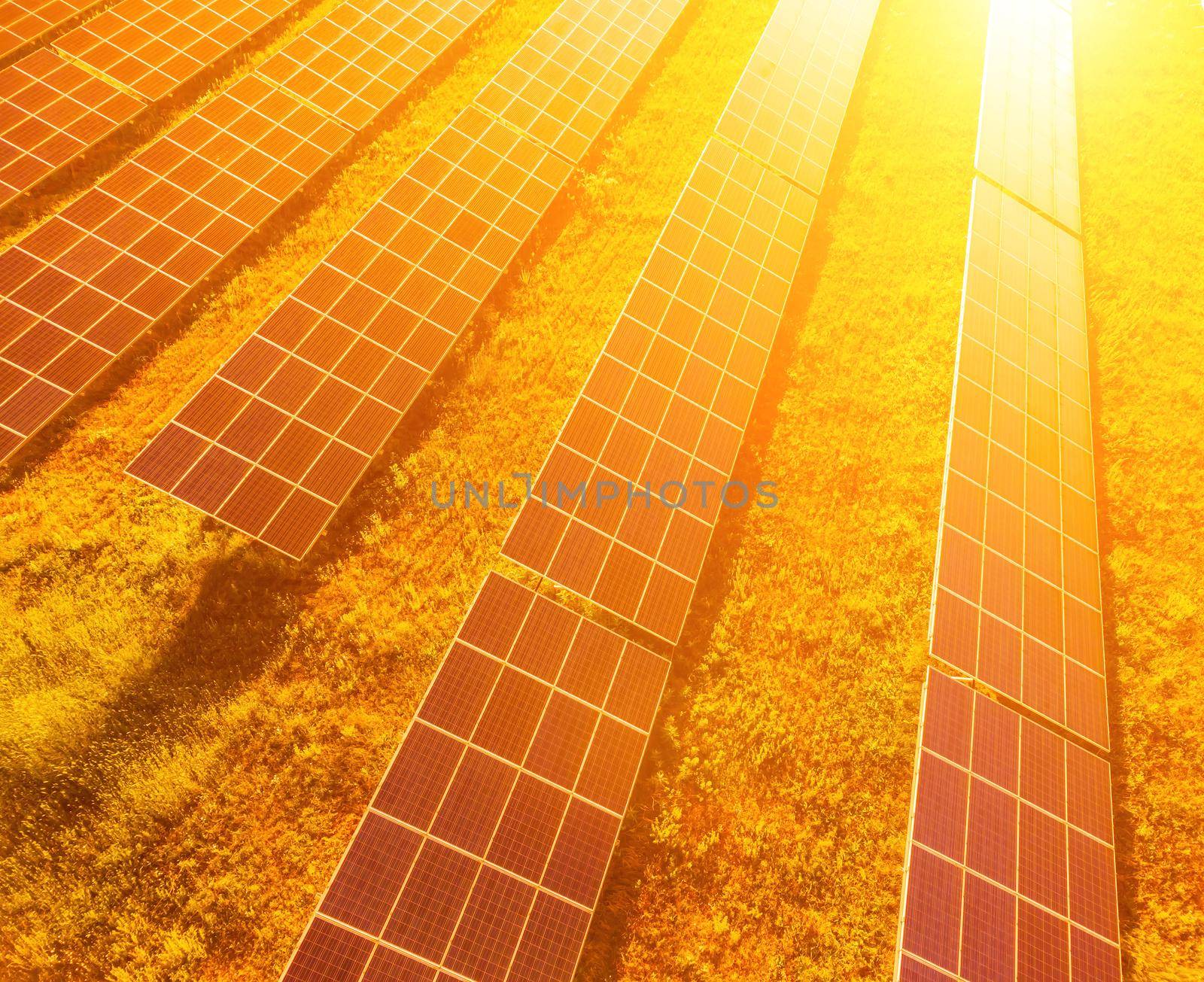 Aerial top view of a solar panels power plant. Photovoltaic solar panels at sunrise and sunset in countryside from above. Modern technology, climate care, earth saving, renewable energy concept