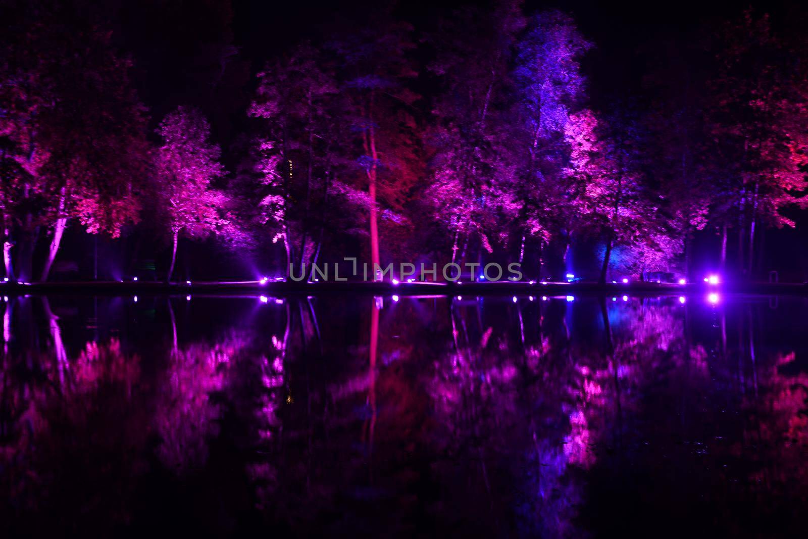 Neon light night show in a park on a city lake in Genk, Belgium, trees illuminated in a mesmerizing blue-purple color are reflected in the water. High quality photo