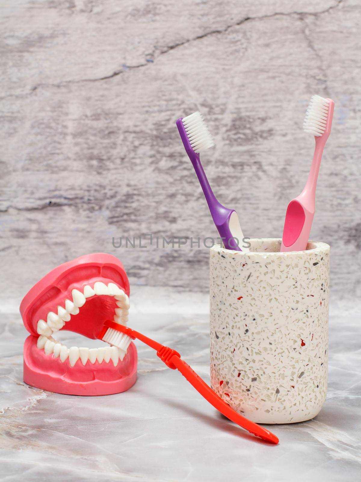 Stone can with toothbrushes. Layout of the human jaw and a toothbrush on the gray background.