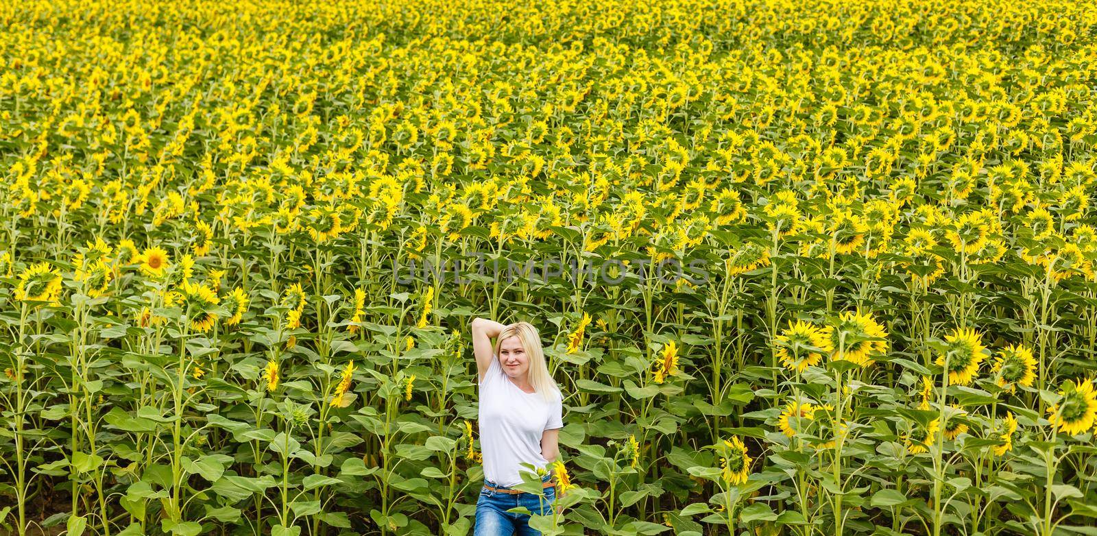 young beautiful woman between sunflowers