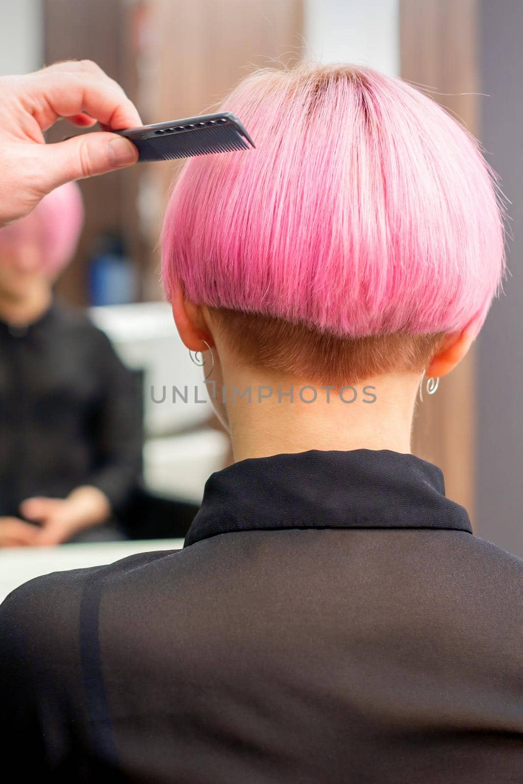 A hairdresser is combing the dyed pink short hair of the female client in hairdresser salon, back view. by okskukuruza